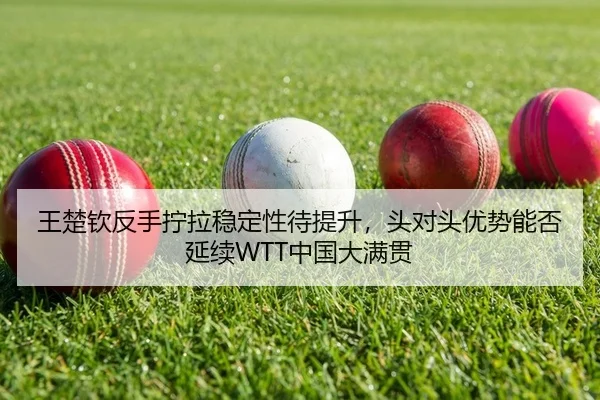 王楚钦反手拧拉稳定性待提升，头对头优势能否延续WTT中国大满贯（yaxin）